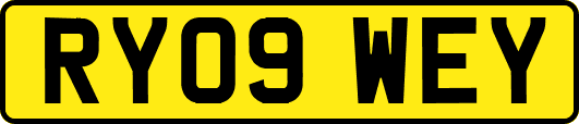 RY09WEY