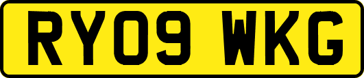 RY09WKG