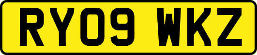 RY09WKZ