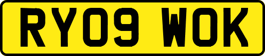 RY09WOK