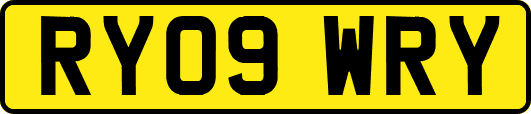 RY09WRY