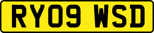 RY09WSD