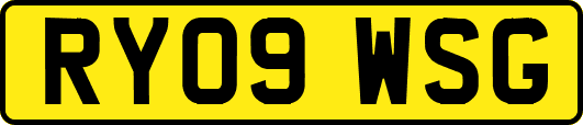 RY09WSG