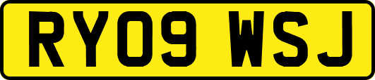 RY09WSJ