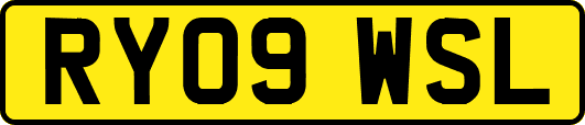 RY09WSL