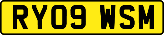 RY09WSM