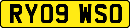 RY09WSO