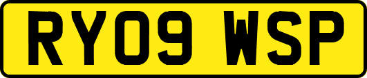 RY09WSP