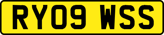 RY09WSS