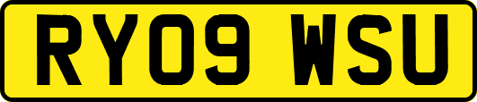 RY09WSU