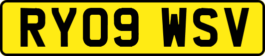 RY09WSV