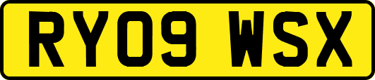 RY09WSX