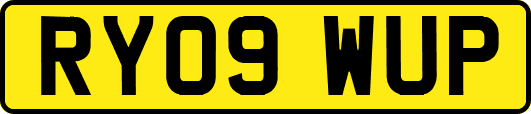 RY09WUP