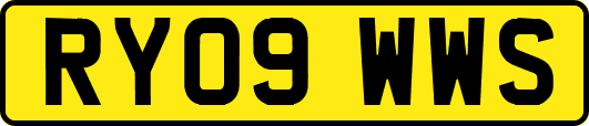 RY09WWS