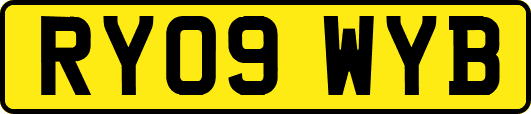 RY09WYB