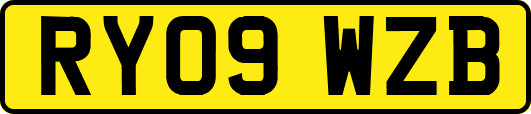 RY09WZB