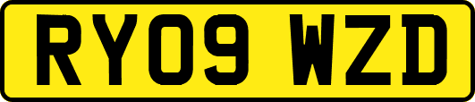RY09WZD