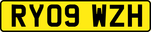 RY09WZH