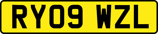 RY09WZL