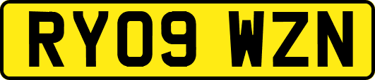 RY09WZN