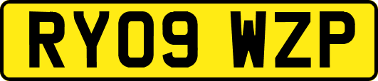 RY09WZP
