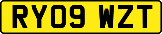 RY09WZT