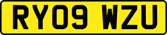 RY09WZU