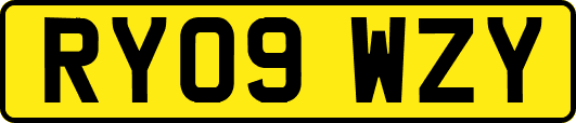 RY09WZY