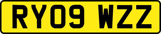 RY09WZZ