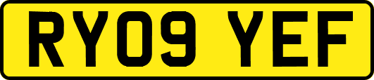 RY09YEF