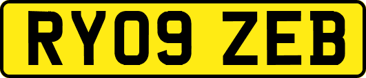 RY09ZEB