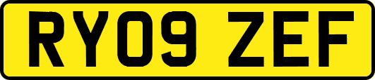 RY09ZEF