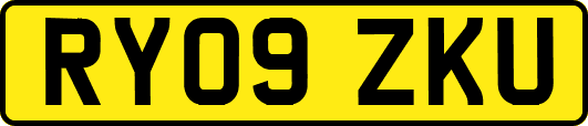 RY09ZKU