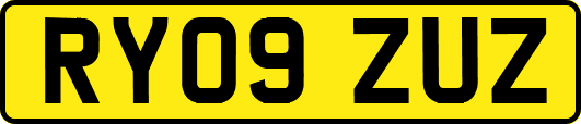 RY09ZUZ