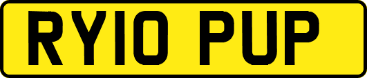 RY10PUP