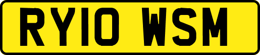 RY10WSM