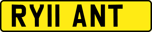 RY11ANT