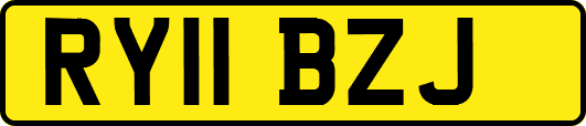 RY11BZJ