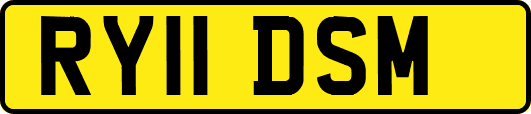 RY11DSM