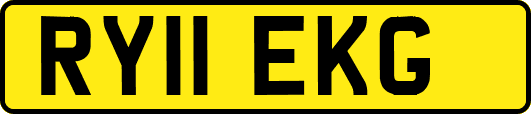 RY11EKG