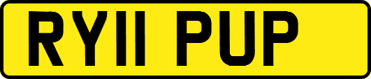 RY11PUP
