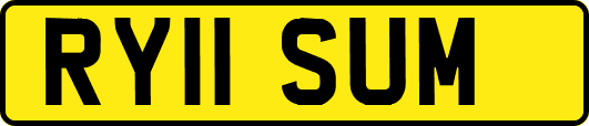 RY11SUM