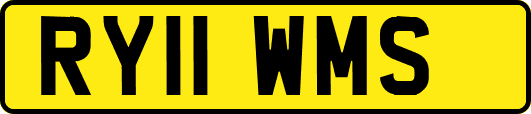 RY11WMS