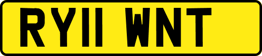 RY11WNT