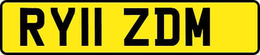RY11ZDM