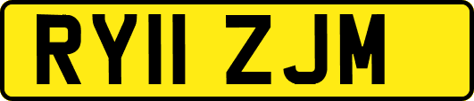RY11ZJM