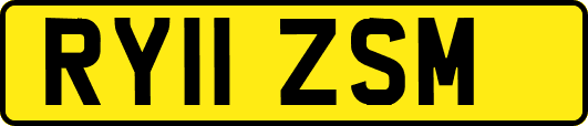 RY11ZSM