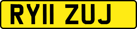 RY11ZUJ