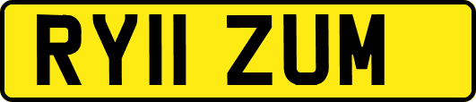 RY11ZUM