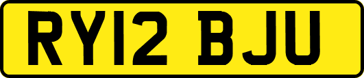 RY12BJU